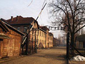 turer till Auschwitz